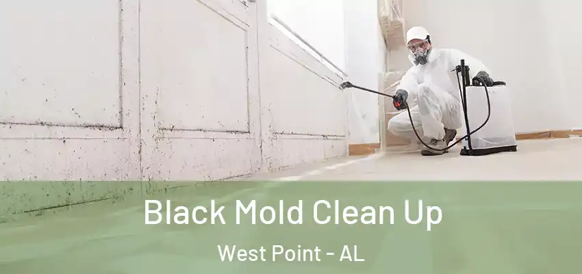Black Mold Clean Up West Point - AL