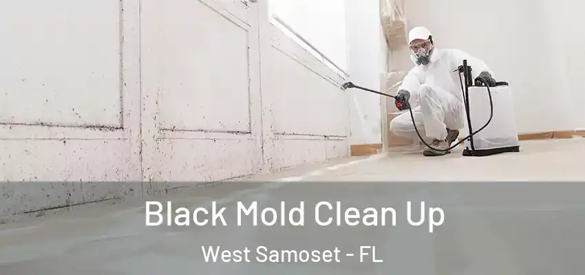 Black Mold Clean Up West Samoset - FL