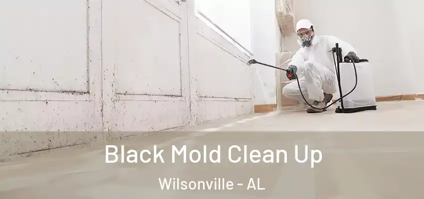 Black Mold Clean Up Wilsonville - AL