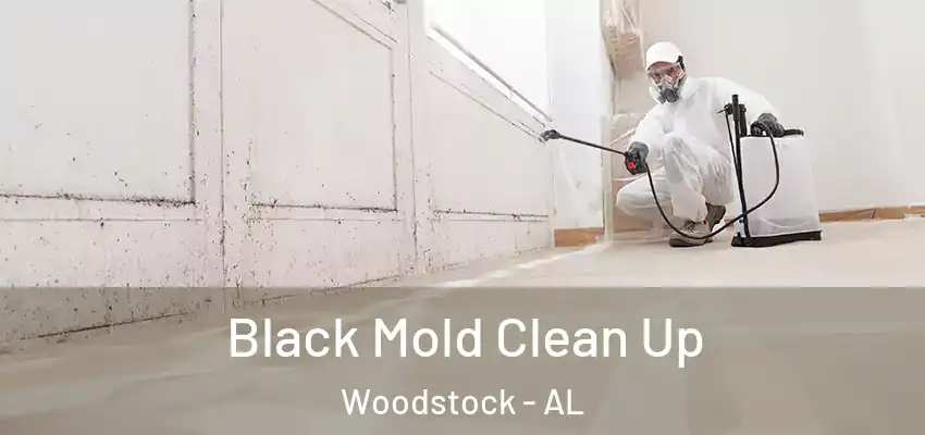 Black Mold Clean Up Woodstock - AL