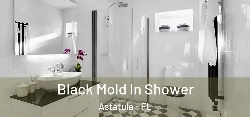 Black Mold In Shower Astatula - FL