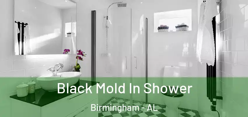  Black Mold In Shower Birmingham - AL
