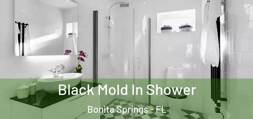Black Mold In Shower Bonita Springs - FL