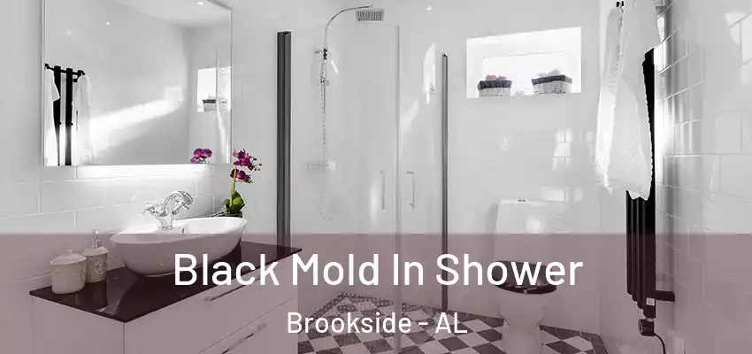  Black Mold In Shower Brookside - AL