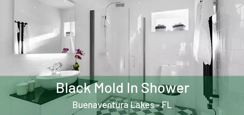 Black Mold In Shower Buenaventura Lakes - FL