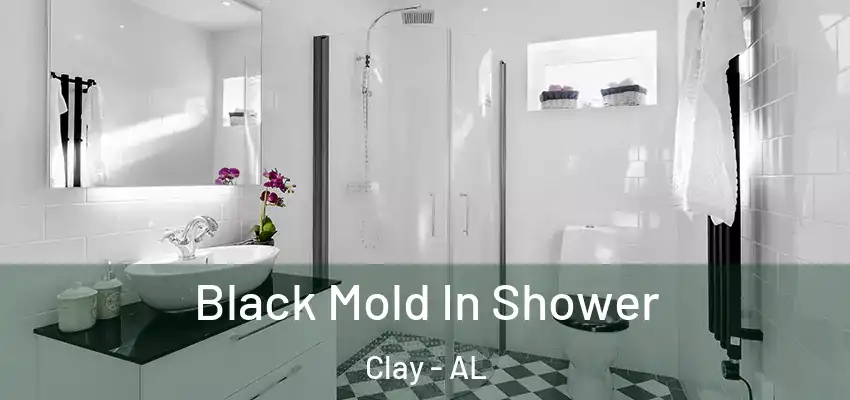  Black Mold In Shower Clay - AL