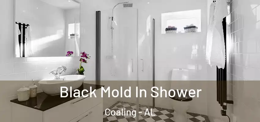  Black Mold In Shower Coaling - AL