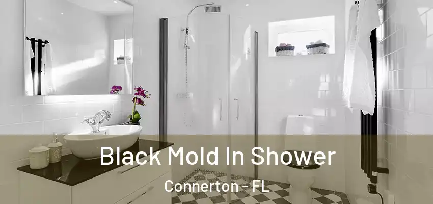  Black Mold In Shower Connerton - FL