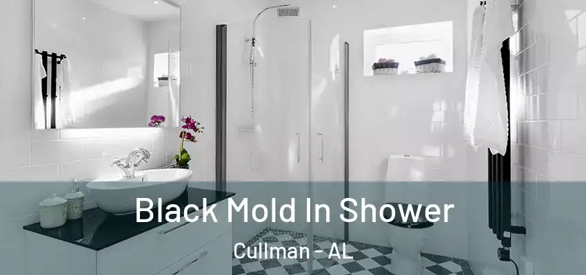 Black Mold In Shower Cullman - AL