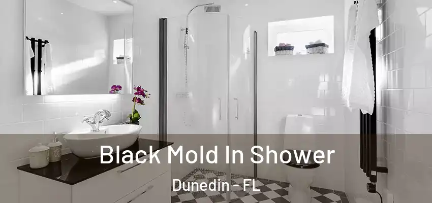  Black Mold In Shower Dunedin - FL