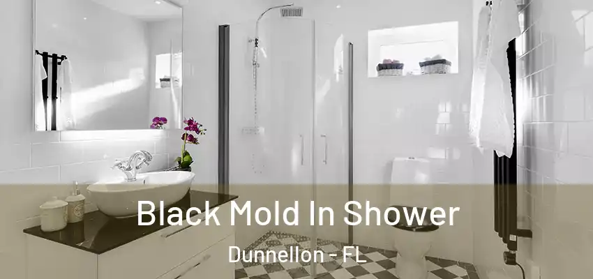Black Mold In Shower Dunnellon - FL