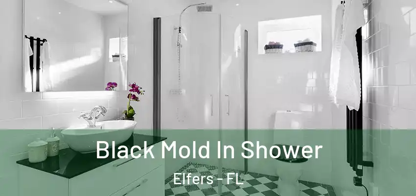 Black Mold In Shower Elfers - FL