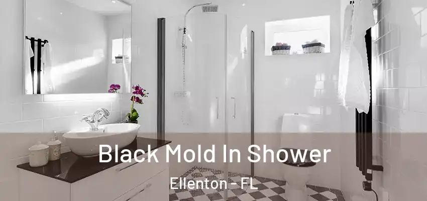Black Mold In Shower Ellenton - FL