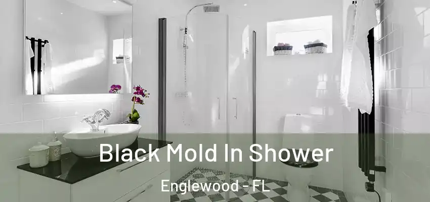 Black Mold In Shower Englewood - FL