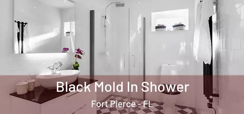 Black Mold In Shower Fort Pierce - FL