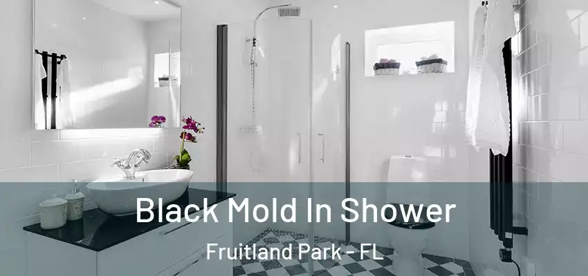  Black Mold In Shower Fruitland Park - FL