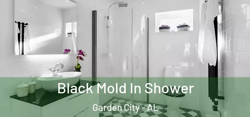 Black Mold In Shower Garden City - AL