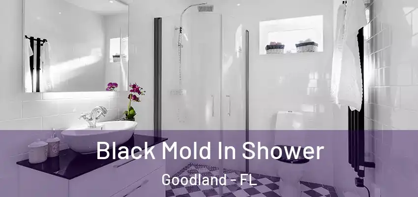  Black Mold In Shower Goodland - FL