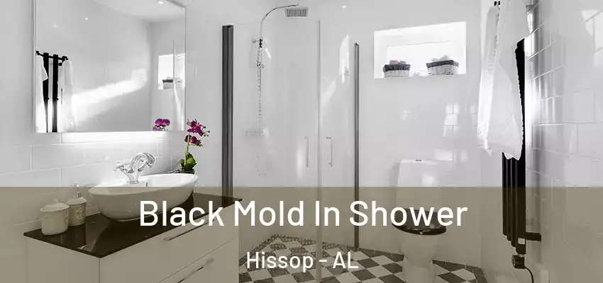 Black Mold In Shower Hissop - AL