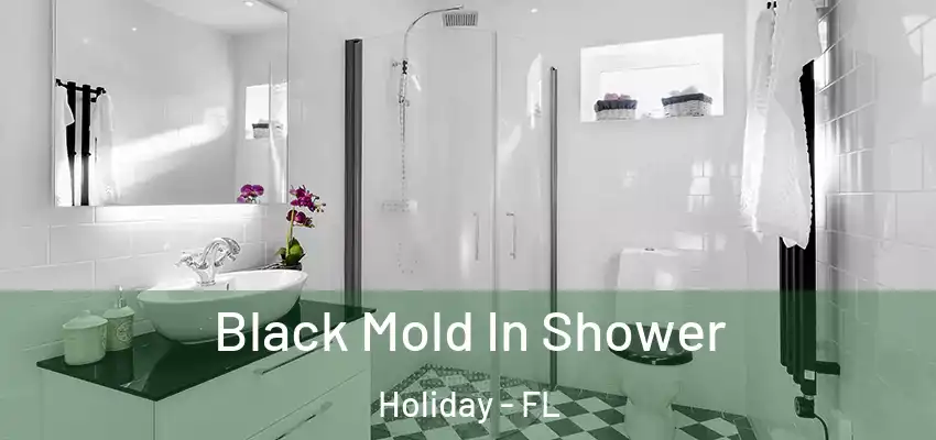 Black Mold In Shower Holiday - FL