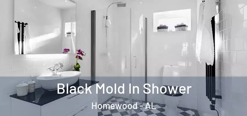  Black Mold In Shower Homewood - AL