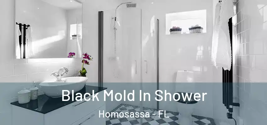  Black Mold In Shower Homosassa - FL