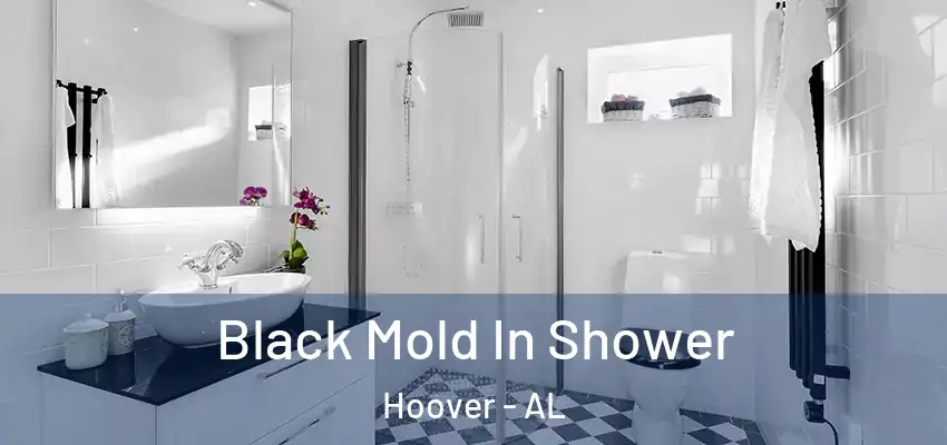 Black Mold In Shower Hoover - AL