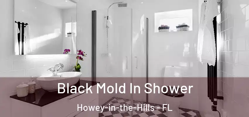 Black Mold In Shower Howey-in-the-Hills - FL