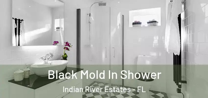 Black Mold In Shower Indian River Estates - FL