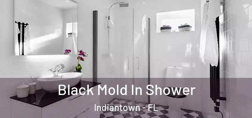Black Mold In Shower Indiantown - FL