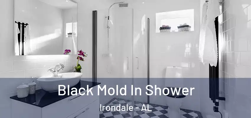Black Mold In Shower Irondale - AL