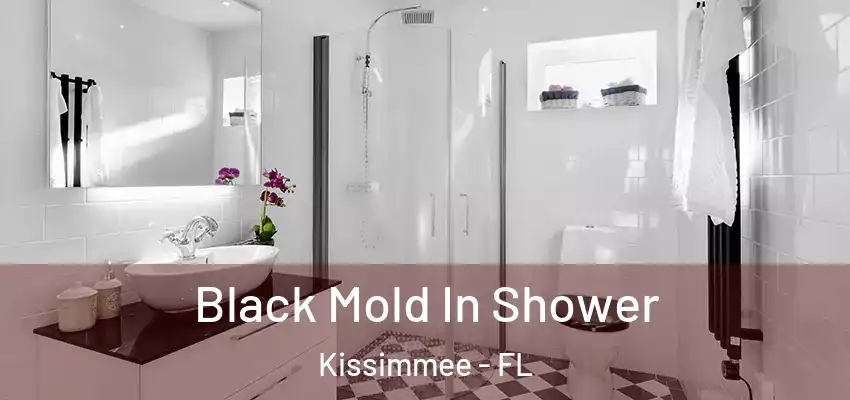  Black Mold In Shower Kissimmee - FL