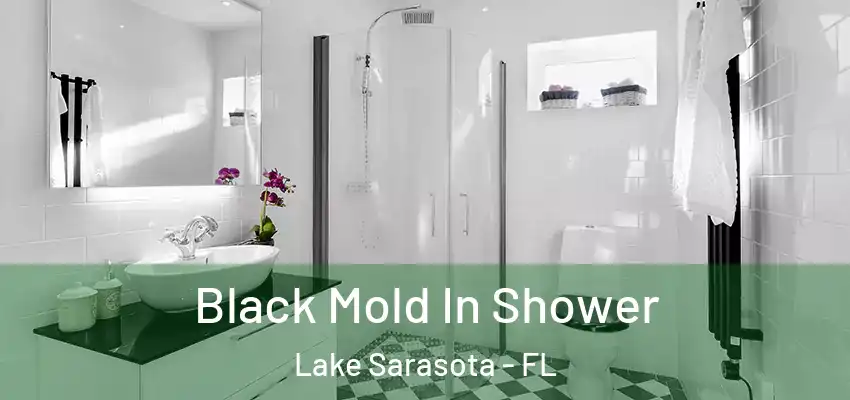 Black Mold In Shower Lake Sarasota - FL
