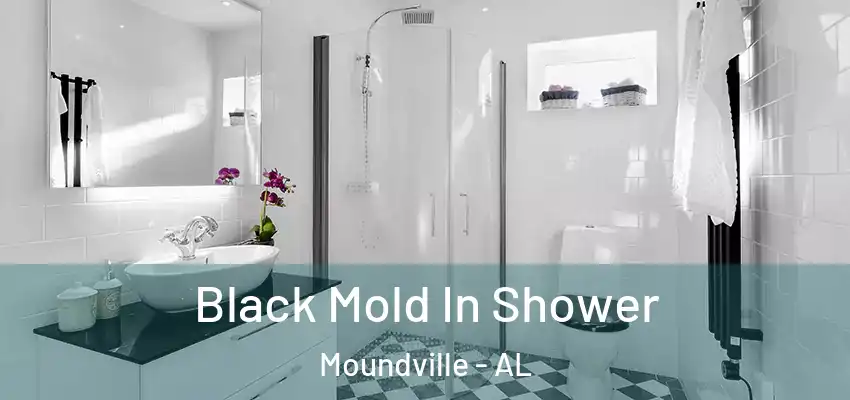  Black Mold In Shower Moundville - AL