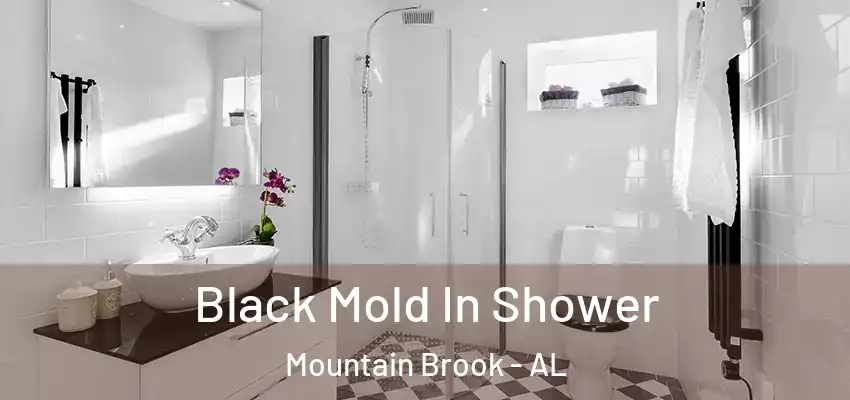 Black Mold In Shower Mountain Brook - AL