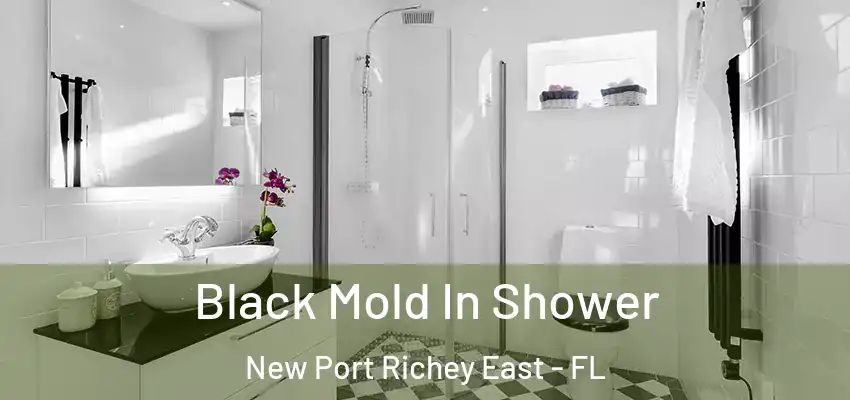 Black Mold In Shower New Port Richey East - FL
