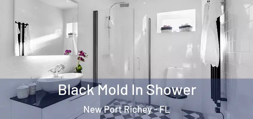 Black Mold In Shower New Port Richey - FL
