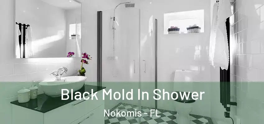  Black Mold In Shower Nokomis - FL