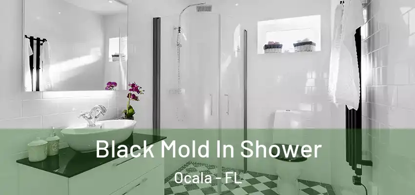  Black Mold In Shower Ocala - FL