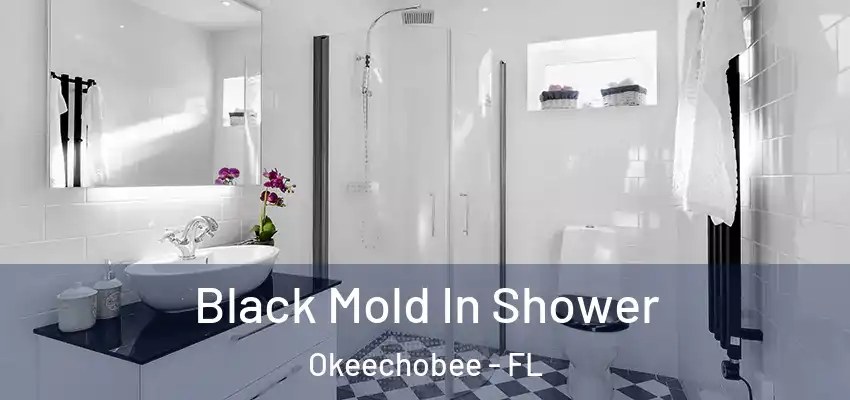 Black Mold In Shower Okeechobee - FL