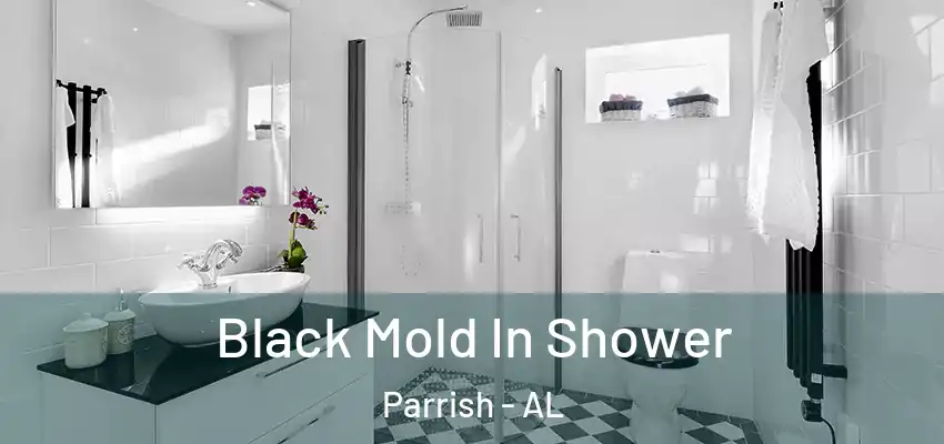 Black Mold In Shower Parrish - AL