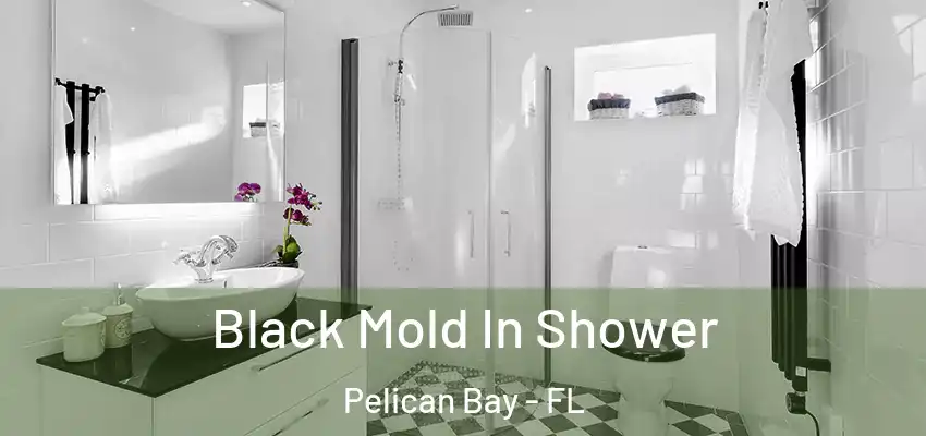  Black Mold In Shower Pelican Bay - FL