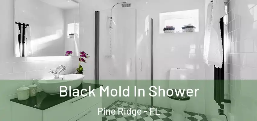 Black Mold In Shower Pine Ridge - FL
