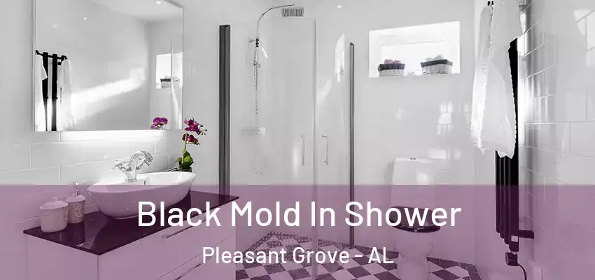  Black Mold In Shower Pleasant Grove - AL