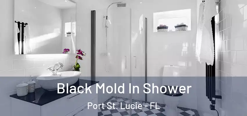 Black Mold In Shower Port St. Lucie - FL
