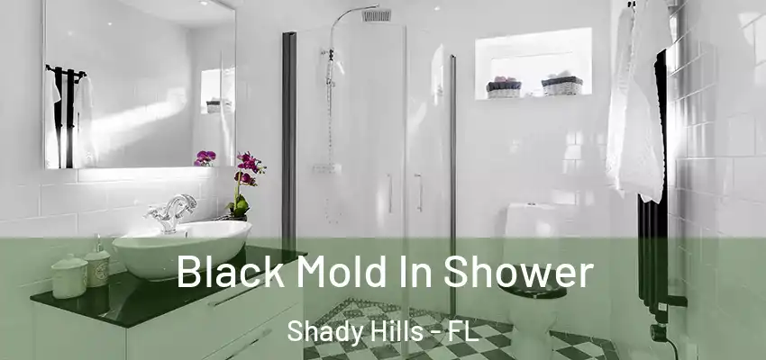  Black Mold In Shower Shady Hills - FL