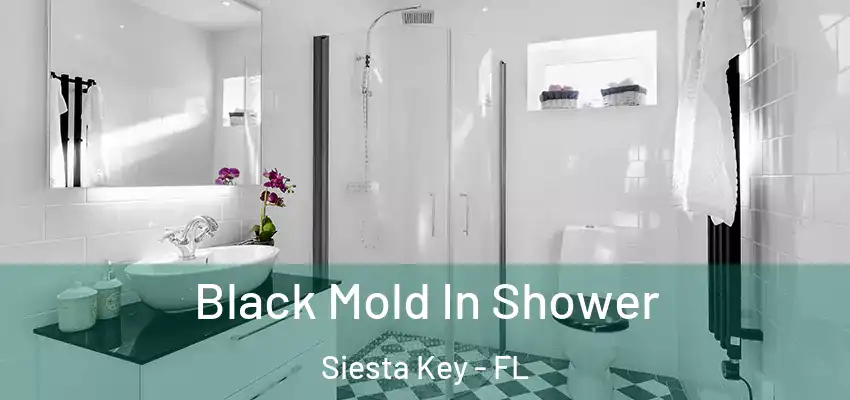 Black Mold In Shower Siesta Key - FL