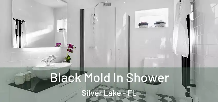 Black Mold In Shower Silver Lake - FL