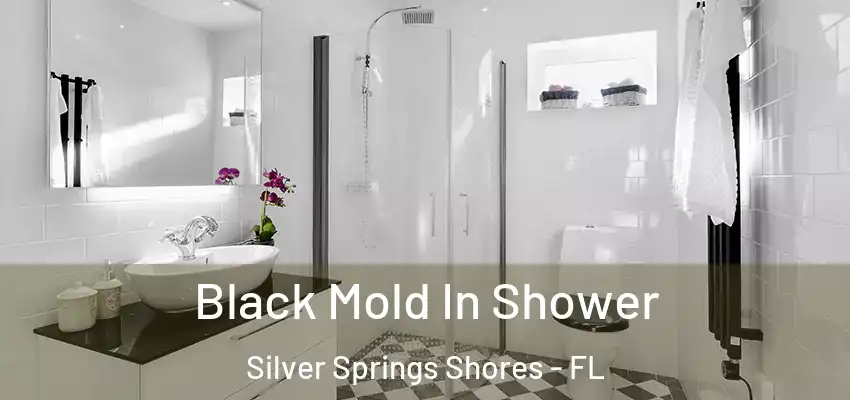 Black Mold In Shower Silver Springs Shores - FL