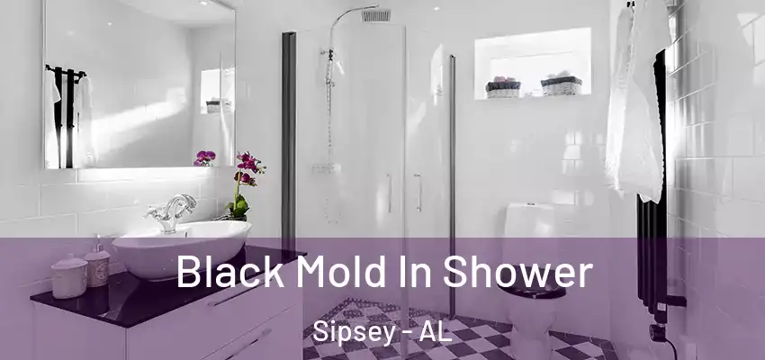 Black Mold In Shower Sipsey - AL